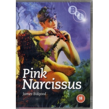 Pink Narcissus DVD