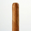 Cusano Robusto