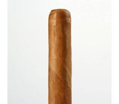 Cusano Robusto