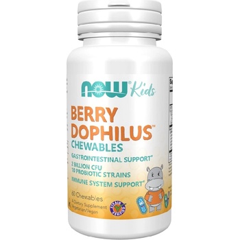 NOW NOW BerryDophilus Kids, 60 Chewables
