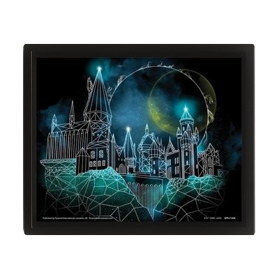 Harry Potter Obraz 3D - Rokfort