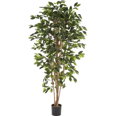 Umelý strom Fikus Nitída prírodný kmeň, 120cm