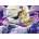 Ravensburger - Puzzle Disney: Aladdin - 1 000 piese