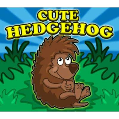 Cute Hedgehog