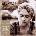 Johannes Oerding - Erste Wahl (Deluxe Edition) (CD) (0886976745424)