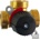 Regulus 18784