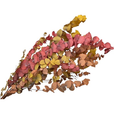 Stabilizované eukalyptové listy Stuartiana cca 150g - jesenný mix