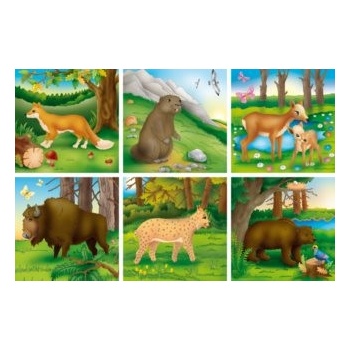 ADAMIGO obrázkové kostky Lesní a polní zvířata ll 16 kostek