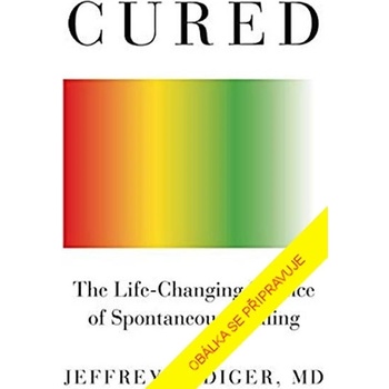 Uzdravte se sami - Za spontánním uzdravením nejsou zázraky - Jeff Rediger
