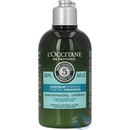 L'Occitane Aromachologie Purifying Freshness Conditioner 250 ml