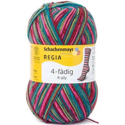 Regia 4-Ply Color 7707 schneeanzug color