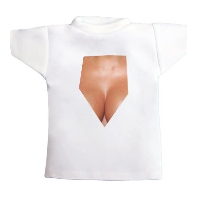 Tričko na láhev Simply the breast