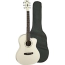 Cort Jade-1