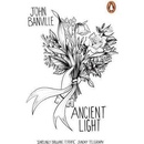Ancient Light Penguin Essentials