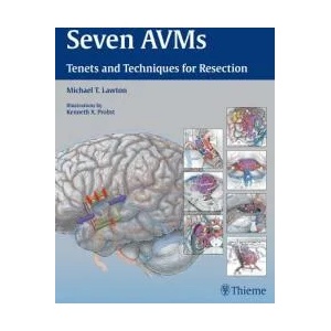 Seven AVMs | Michael T. Lawton (2000)