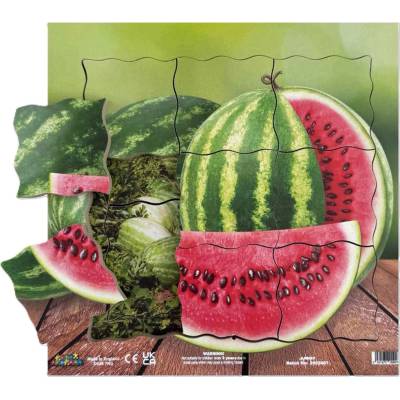 Just Jigsaws vodný melón a jeho vegetatívne rastové fázy drevené vrstvené puzzle 19 dielov