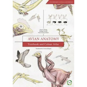 Avian Anatomy: Textbook and Colour Atlas | Horst E. Koenig, Ruediger Korbel, Hans-Georg Liebich (ISBN: 9781910455609)
