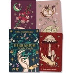 Llewellyn Worldwide, Ltd Herbarium Oracle | Elisa Seitzinger