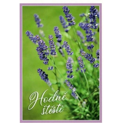 Pohlednice Hodně štěstí - levandule