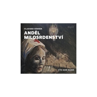 Anděl milosrdenství - Körner Vladimír - Bareš Igor