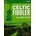 Celtic Fiddler
