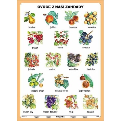 Ovoce z naší zahrady-tabulka A5 Stiefel
