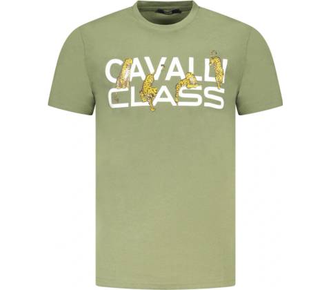Cavalli class zelené