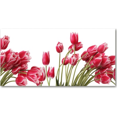 Fotoobraz na skle červené tulipány 100x50 cm