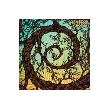 KYLESA - SPIRAL SHADOW LP