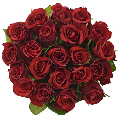 Kytice 21 červených růží RED RIBBON 50cm