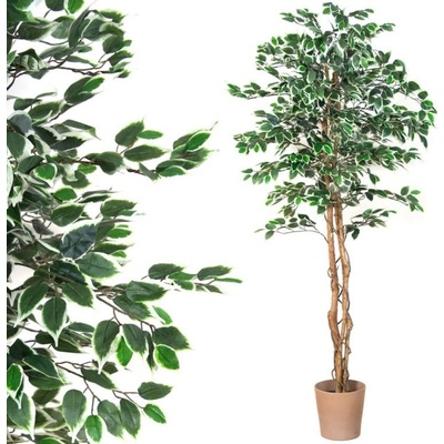 PLANTASIA 1654 Umelá kvetina - fikus - 190 cm