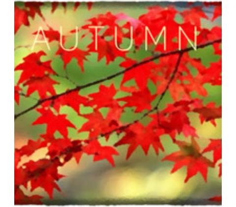 Autumn
