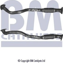 BM CATALYSTS BM50096