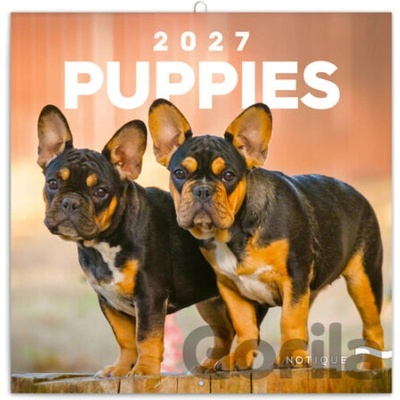 NOTIQUE Nástenný poznámkový Puppies Šteňatá Notique 2027