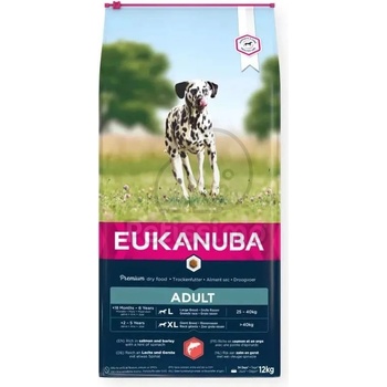 EUKANUBA Adult Large salmon 2,5 kg