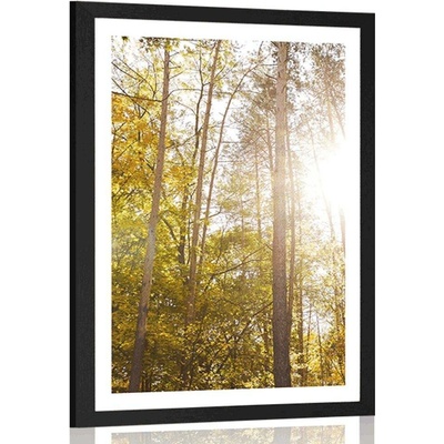 Plakát s paspartou les v podzimních barvách - 40x60 white