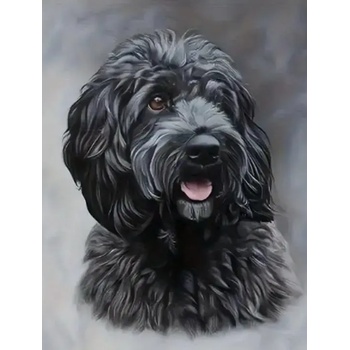 Norimpex - Puzzle Diamant painting: Black Cockapoo 30x40cm - 1 - 39 piese