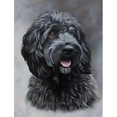 Norimpex - Puzzle Diamant painting: Black Cockapoo 30x40cm - 1 - 39 piese