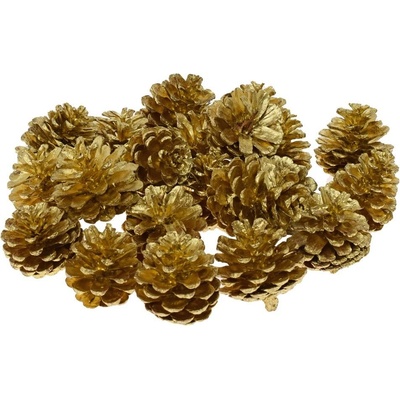 Blue Pine /gold/ 500g -susz/I819_20