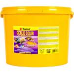 Tropical Cichlid Color Flakes XXL 11 L / 2 kg
