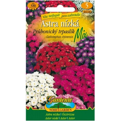 Nohel Garden Astra nízka Průhonický trpaslík, zmes