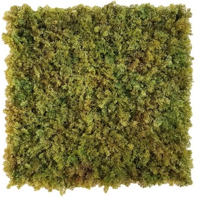 Shaggy moss green/brown, dielec 50 x 50 cm