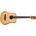 Tanglewood TR2