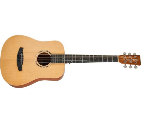 Tanglewood TR2