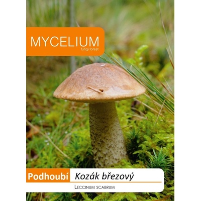 Kozák březový 10 g podhoubí