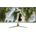 Arozzi NOVA 34T2K165 Forest Green