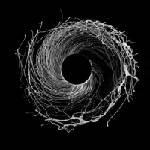 Dawn Of Midi - Dysnomia (2 LP) (4050486110416)