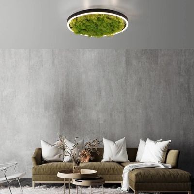 JUST LIGHT 15391-66