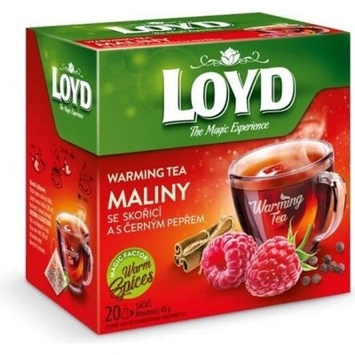Loyd Tea pyramida Maliny skořice a černý pepř 20 x 2 g