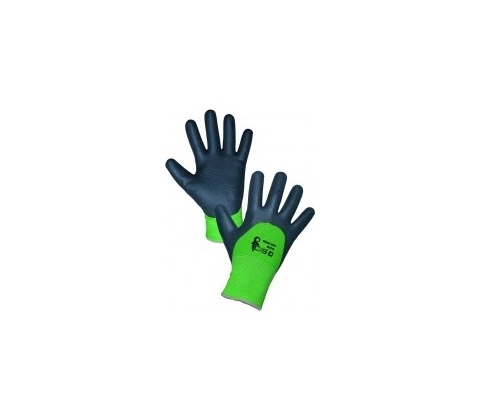 CXS ROXY DOUBLE WINTER